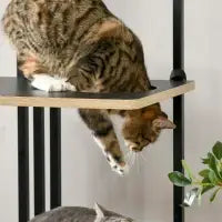 PawHut Kratzbaum, Industrial Design