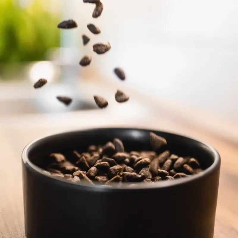 "Perfekt PferdTräglich" - softes Trockenfutter mit 58% Pferd - 5 x 1,5kg