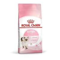 Royal Canin Feline Kitten — 10kg