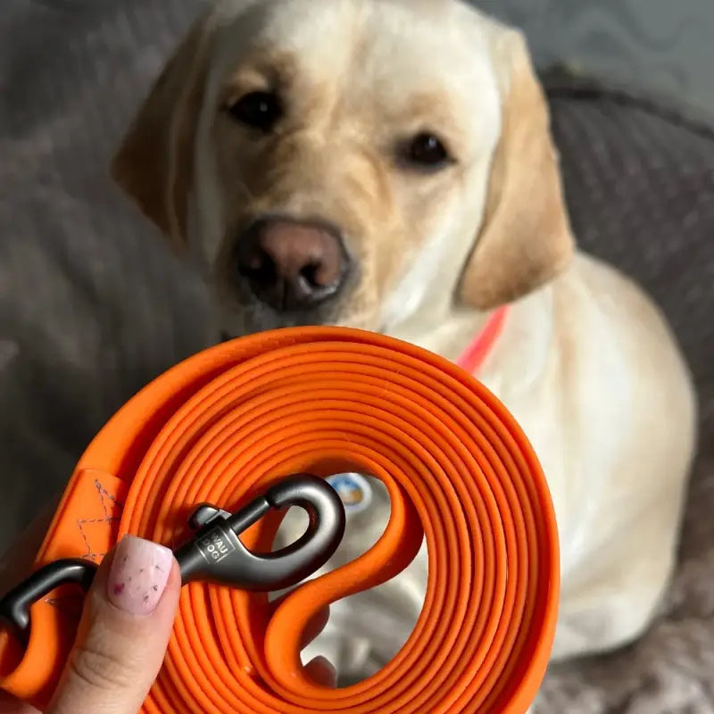 Waudog Wasserdichte Hundeleine — Orange / Groß