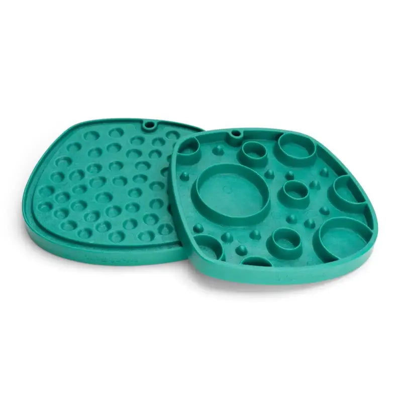 Seaflex Feast Matte — Türkis