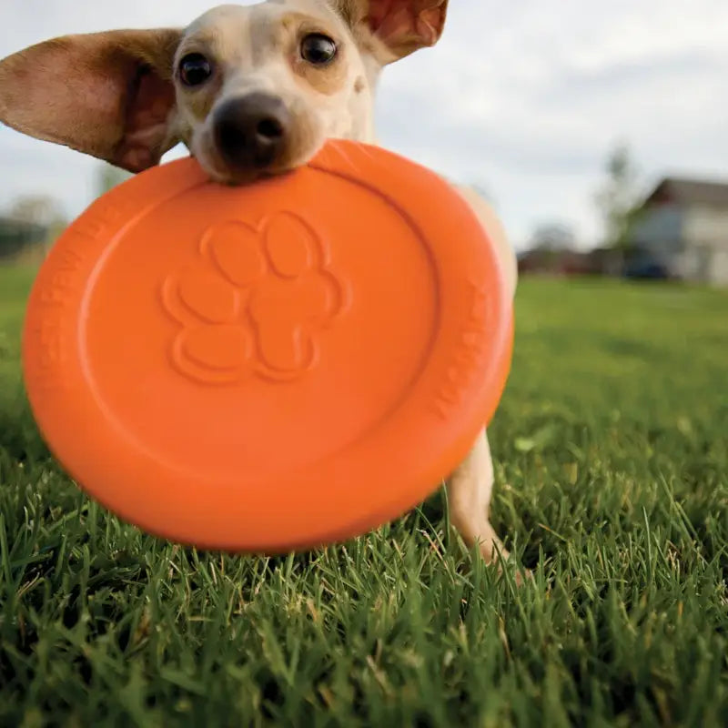 Zogoflex Zisc Frisbee — Groß / Blau