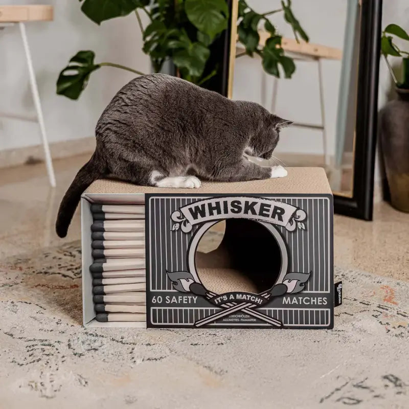WHISKER District 70