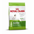 Royal Canin Size X-Small Junior — 500g