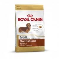 Royal Canin Dachshund Adult — 500g