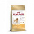 Royal Canin Pudel Adult — 500g