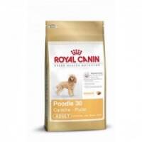 Royal Canin Pudel Adult — 1,5kg