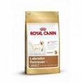 Royal Canin Labrador Retriever Adult — 3kg