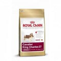 Royal Canin Cavalier King Charles Adult — 1,5
